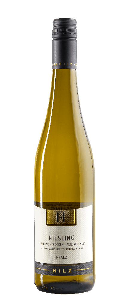 Hilz Riesling Spätlese trocken "Alte Reben 42" 2023,QW