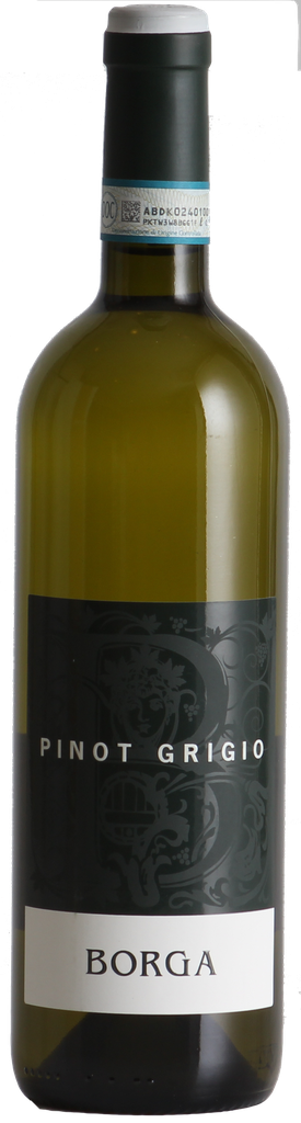 Pinot Grigio Borga 2024, Delle Venezie DOC