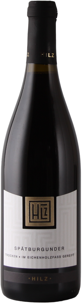 Hilz Spätburgunder Trocken 2024, Rotwein Pfalz QW 