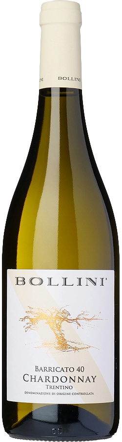 Bollini Chardonnay Trentino "Barricato 40" DOC 2024