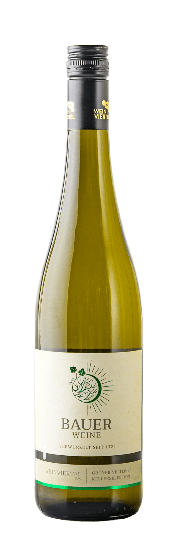 Grüner Veltliner Norbert Bauer 2024